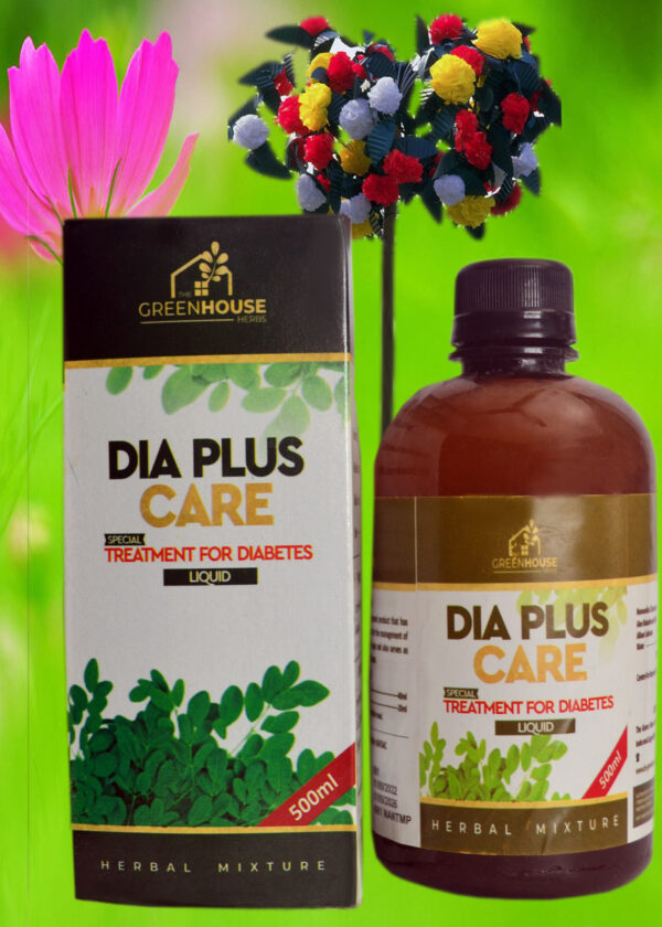 DIA PLUS CARE FOR DIABETES _LIQUID ( 500ml) 100% HERBAL MIXTURE - Image 2